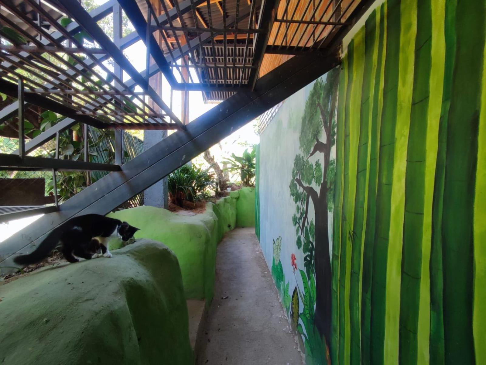 Hostel Pistacho Minca Zewnętrze zdjęcie